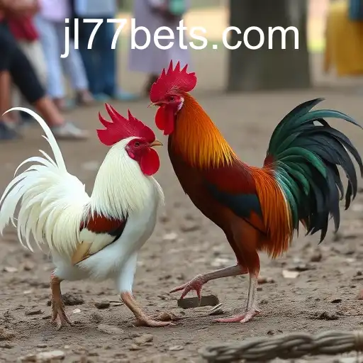 Exploring Sabong Games and the Modern Influence of JL77.BET